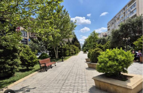 Farid's apartment, Baku